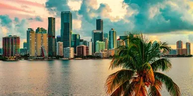 Servicio de transporte puerta a puerta Miami y SWFL y Miami a Tampa en cualquier dirección